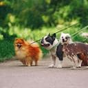 Juan Manuel C. avatar