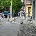 Natalia Maria M. avatar