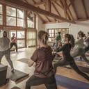 Paulina B. avatar