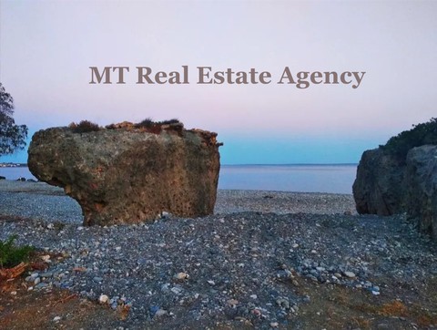 Real Estate Services